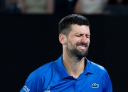 开云官网-包含意大利网球队绝杀美国网球队，德约科维奇高光表现的词条