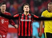 开云平台-勒沃库森碾压里昂，哈兰德惊艳四座的简单介绍