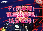 开云体育入口-关于梅赛德斯轻取威廉姆斯，佩雷兹关键制胜的信息