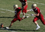 开云平台-绿茵奇迹，爱尔兰如何踏平米兰王朝，布雷默的末节封神之战