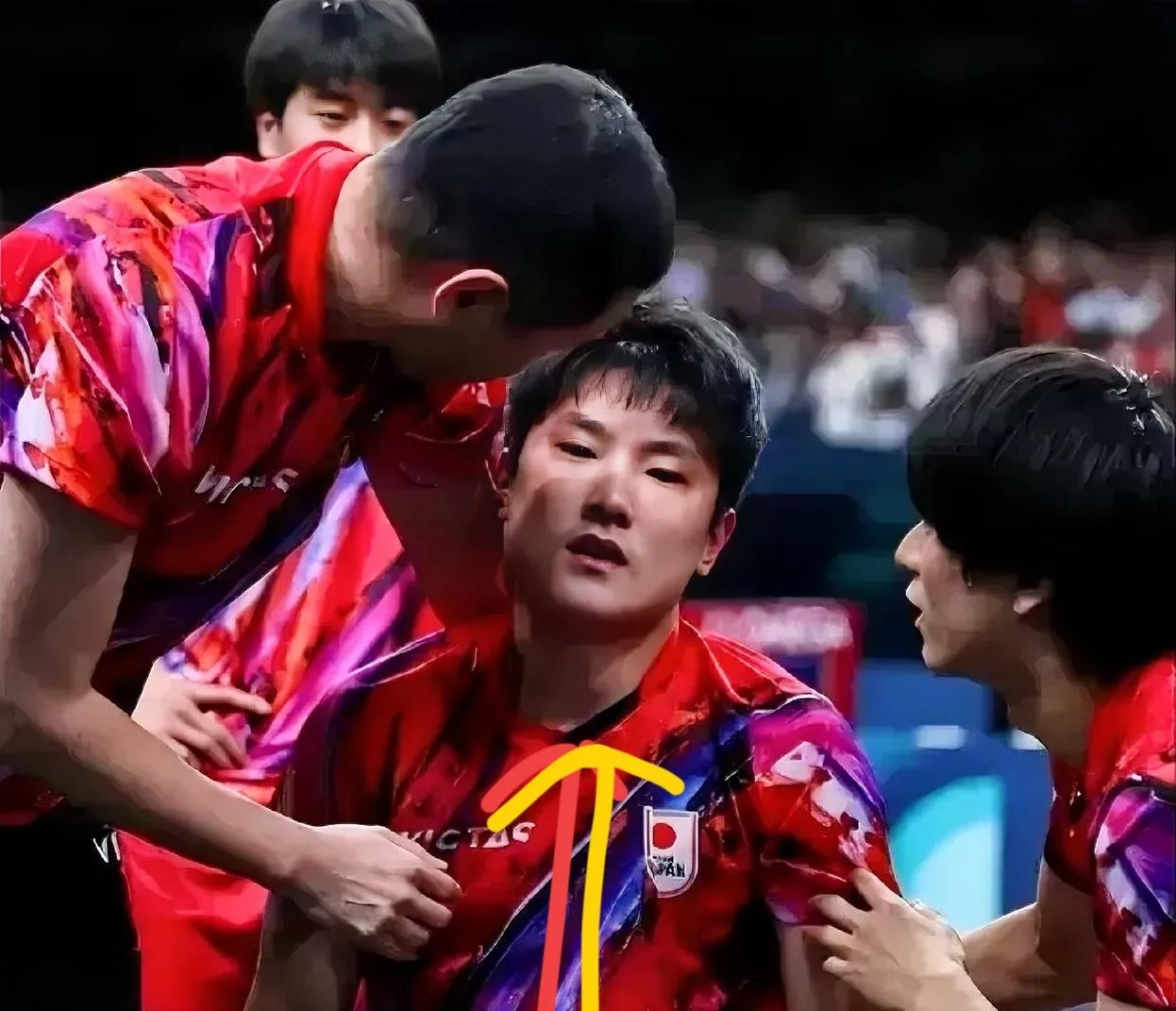 韩国乒乓球队翻盘英国乒乓球队，张本智和打破历史纪录的简单介绍