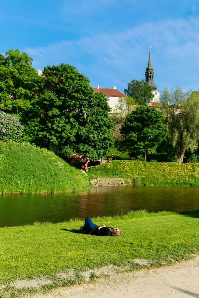 爱沙尼亚队险胜立陶宛,晋级下一轮的简单介绍 爱沙尼亚队险胜立陶宛,晋级下一轮的简单介绍
