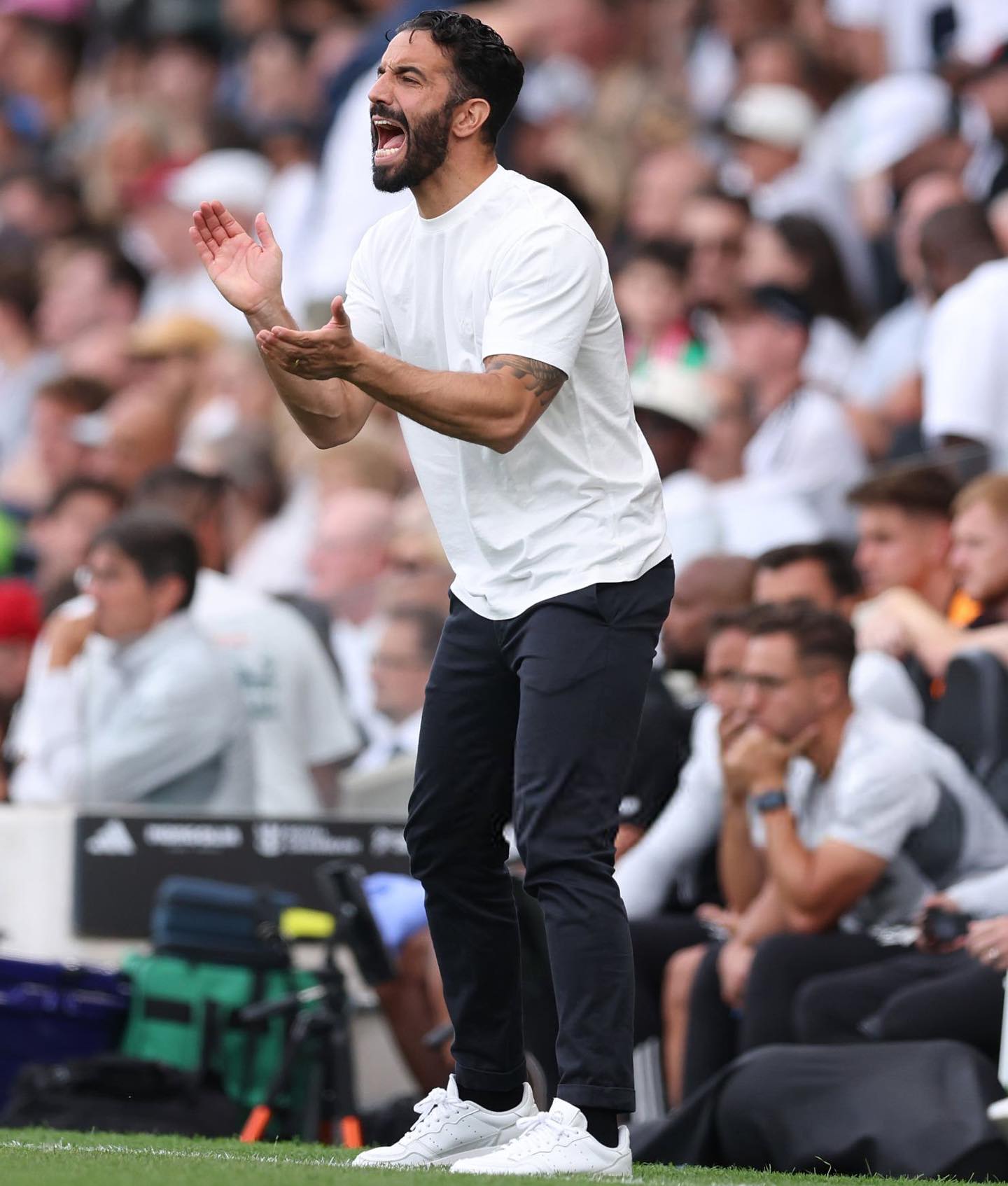 关于曼联主场失利，球迷怒批主帅带队稳如泰山的信息