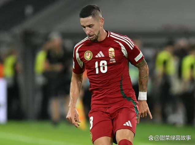 关于匈牙利队主场击败土耳其，晋级前景大好的信息