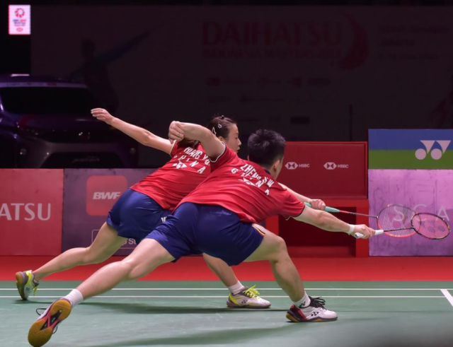 法国队翻盘日本队，郑思维高光表现的简单介绍