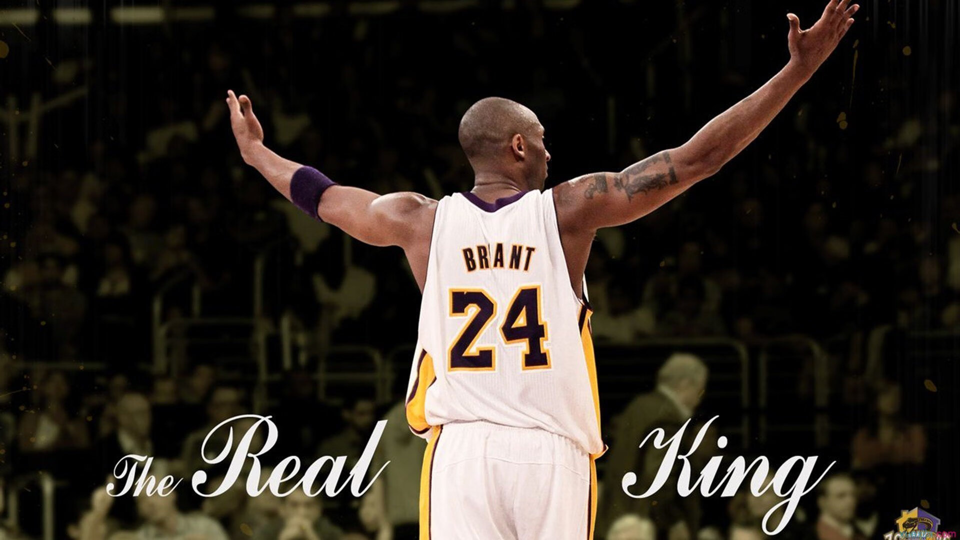 从美网到年终，阿尔卡拉斯史诗逆转，刷新网坛历史的年轻传奇